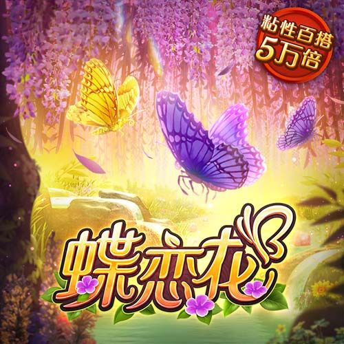 星空综合app桌面版客户端