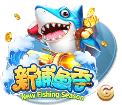 星空综合app2025最新版